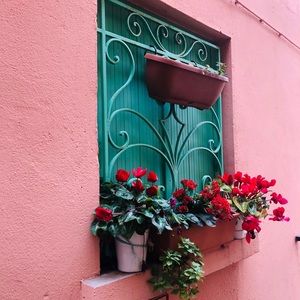 Meet your Posher, Coco